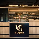 Wellness A Restaurace U Gigantu Guest house