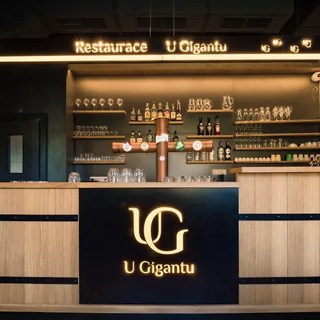 Wellness A Restaurace U Gigantu Guest house