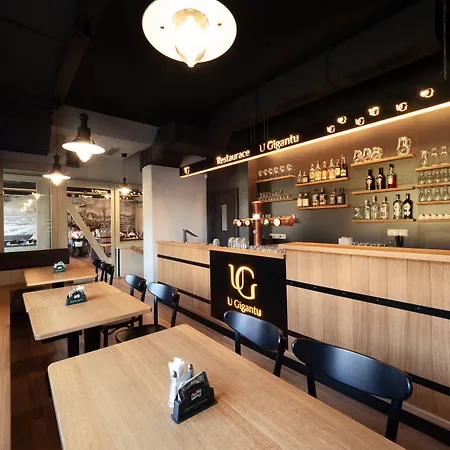 Guest house Wellness A Restaurace U Gigantu