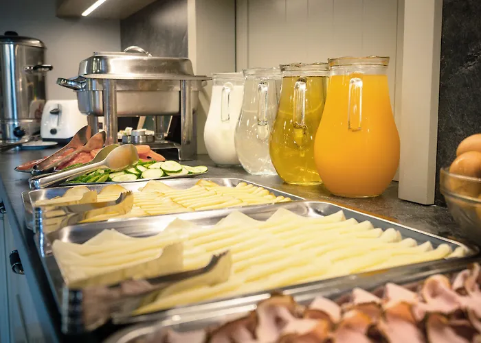 Guest house Wellness A Restaurace U Gigantu Plzen