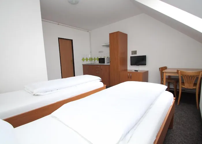 Pensionat Wellness A Restaurace U Gigantu